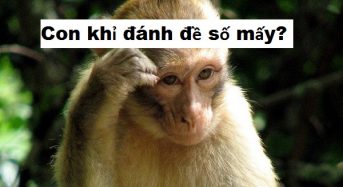Con khỉ số mấy, nằm mơ thấy khỉ đánh đề con gì?