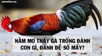 Nằm mơ thấy gà trống đánh con gì, đánh đề số mấy?