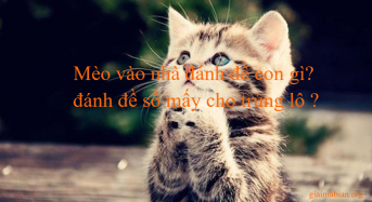 Mèo vào nhà đánh đề con gì, đánh đề số mấy cho trúng lô ?