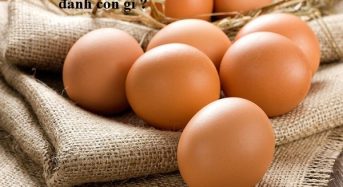 Nằm mơ thấy trứng vịt, trứng gà đánh con gì ?