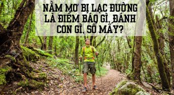 Nằm mơ thấy bị lạc đường là điềm báo gì? Đánh con gì? Số mấy?