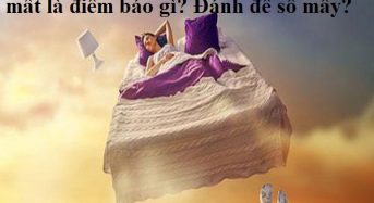 Nằm mơ thấy bốc mộ cho người chết là điềm gì? Đánh con gì? số mấy?