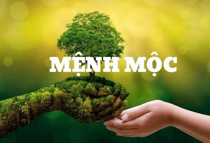 Số 31 xét theo Ngũ Hành tương ứng hành Mộc Số 31 xét theo Ngũ Hành tương ứng hành Mộc