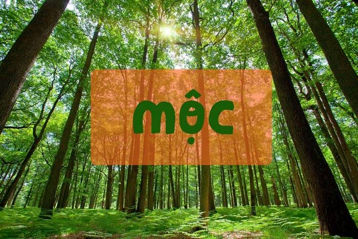Theo ngũ hành phương Đông, số 45 thuộc hành Mộc