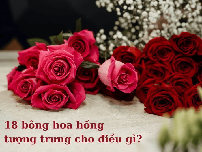 Ý nghĩa số lượng hoa hồng từ 1 - 5 bông