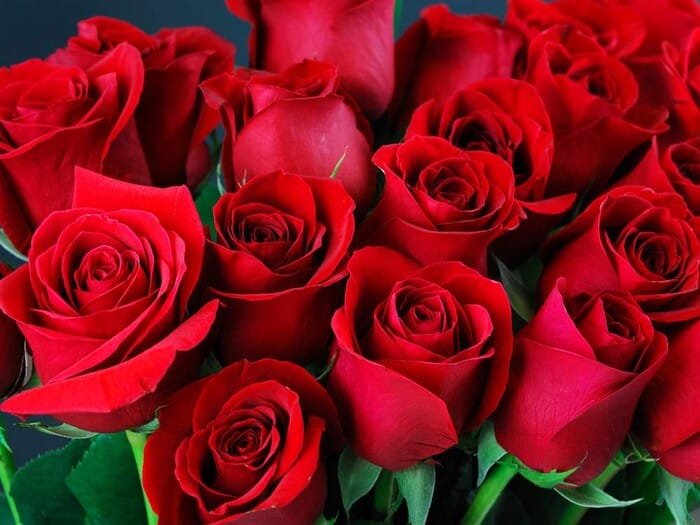 Ý nghĩa số lượng hoa hồng từ 6 đến 10 bông hồng