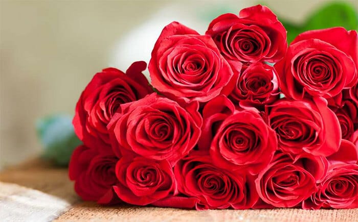 Ý nghĩa số lượng hoa hồng dành tặng cho người mẹ thân yêu