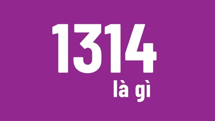 Ý nghĩa số 1314 trong phong thủy được thể hiện như thế nào?