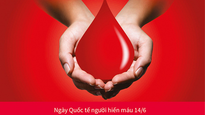 Khám phá 14/6 là ngày gì - Ngày hiến máu thế giới
