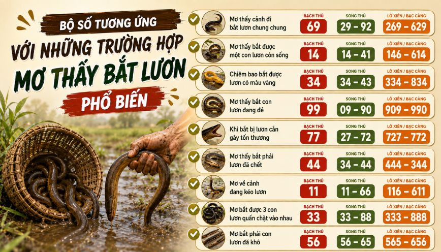 Bộ số tương ứng với những giấc mộng bắt lươn phổ biến