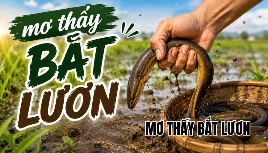 mơ thấy bắt lươn