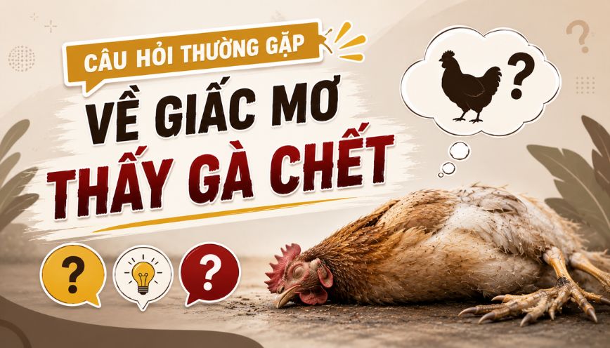 Câu hỏi thường gặp về giấc chiêm bao thấy gà chết