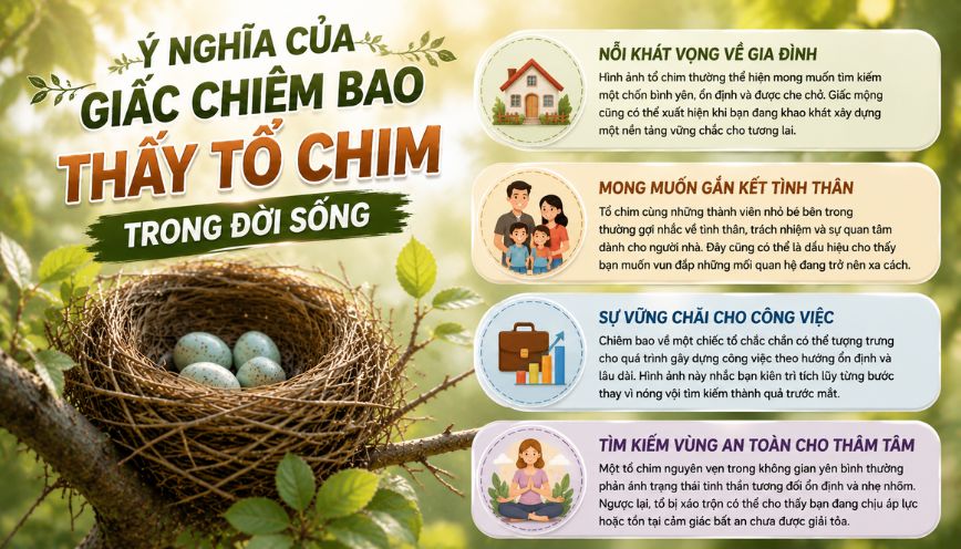 Ý nghĩa của giấc chiêm bao thấy tổ chim trong đời sống