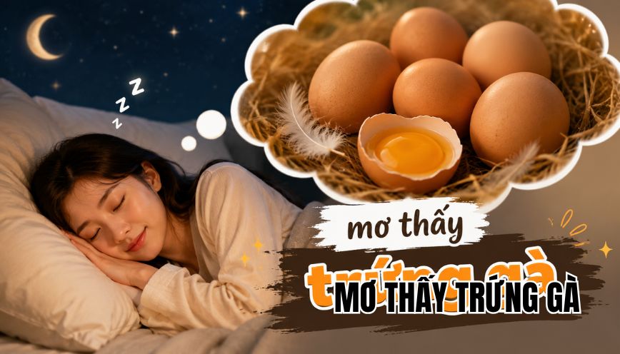 mơ thấy trứng gà